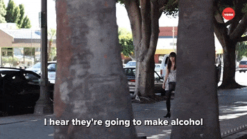 Weed Alcohol GIF by BuzzFeed
