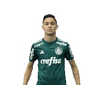 diogo barbosa soccer Sticker by SE Palmeiras