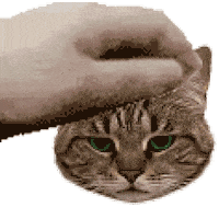 Dexter Sticker by Meow Cats Café