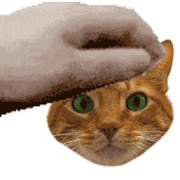Dexter Sticker by Meow Cats Café