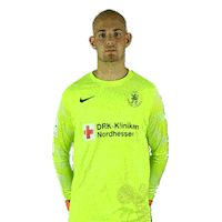 KSVHessenKassel sports football fussball lions Sticker