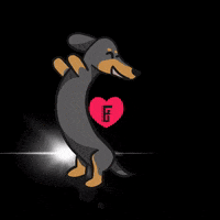 Dance Dog GIF