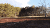 Land GIF by JC Property Professionals