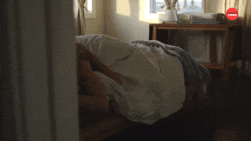 Cat Questions: Christmas