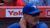 Blue Jays Baseball GIF by Toronto Blue Jays