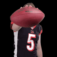 Look At Me Football GIF by NFL