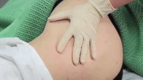 alegalazb giphygifmaker GIF