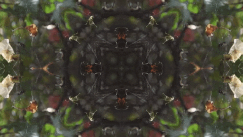 Art Love GIF by jorgemariozuleta