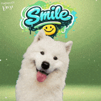 Laugh Smile GIF
