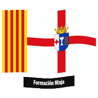 Comunidad Valenciana Bandera Sticker by Formación Ninja