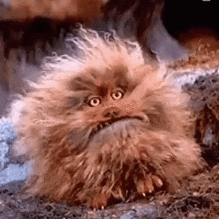 Dark Crystal GIF by memecandy