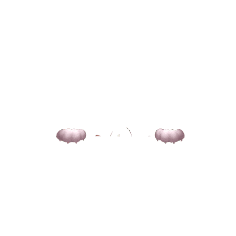 Cat Wow Sticker by Homescapes