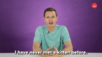 I Have Never Met A Kitten