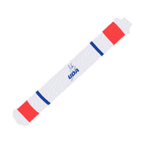 Dance Dancecamp Sticker by Varsity Spirit