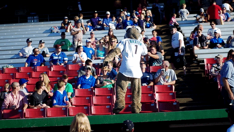 baxter #kccougars #safe GIF by Kane County Cougars