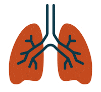 Bmc Sticker by Boston Medical Center