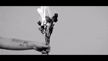 vsco GIF