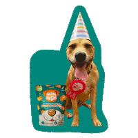 Happy Dog Sticker by Awesome Pawsome Treats