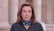 Nancy Pelosi GIF by GIPHY News