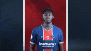 France Hello GIF by Paris Saint-Germain Handball