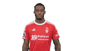 Football Sport Sticker by Nottingham Forest