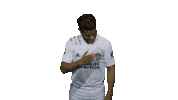 Los Angeles Football Sticker by LA Galaxy