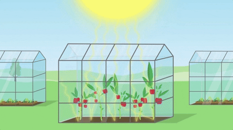 climate change animation GIF