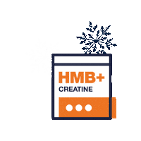 Christmas Holiday Sticker by Blonyx