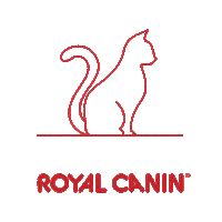 Cat Kitten Sticker by Royal Canin Brasil