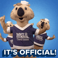 Navy Federal GIF by Navy Federal Credit Union