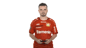 Bayer Leverkusen Fifa Sticker by Bundesliga