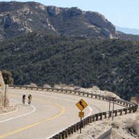 msugranfondo  GIF