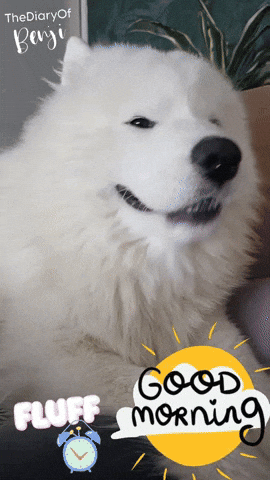 Morning Alarm GIF