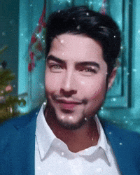 Merry Christmas Happy Dance GIF by Respective