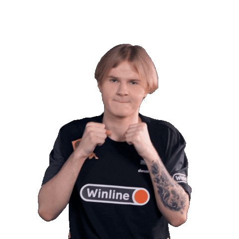Counter-Strike Something Sticker by Virtus.pro