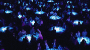 Ecommerce Award GIF by Dansk Erhverv Digital handel