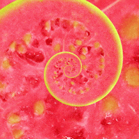 I'M Horny Eat Me GIF by Feliks Tomasz Konczakowski