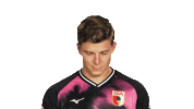 Look Up Fc Augsburg Sticker by Bundesliga