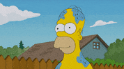 Confused Homer Simpson GIF by FOX TV