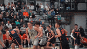 Iwutitans Tgoe GIF by iwusports