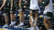 Iwutitans Tgoe GIF by iwusports