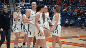 Iwutitans GIF by iwusports