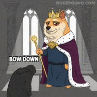 Bow Down Shiba Inu GIF by Doge Pound