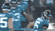 Regular Season Football GIF by NFL
