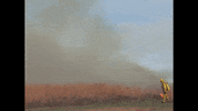 Workshop GIF by UnionDocs