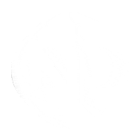 npnutrition np npnutrition Sticker
