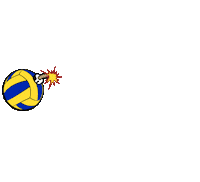 Volleyball Pdv Sticker by Problemi di Volley