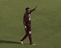 sacramento republic fc football GIF by USL