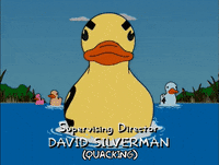 episode 14 ducks GIF