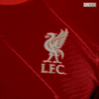 Proud Premier League GIF by Liverpool FC